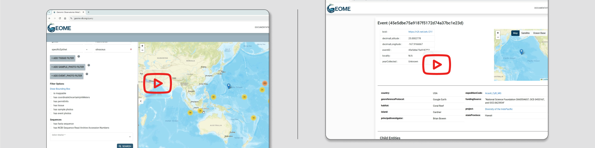 Instructional Video preview